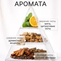 Диффузор ароматический с палочками XO The Dream, 200 мл