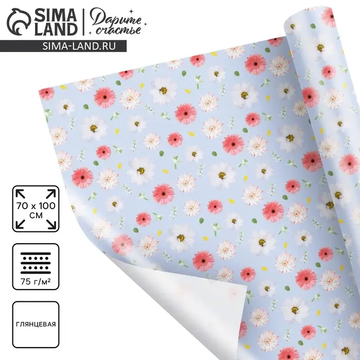 Бумага упаковочная глянцевая «Ромашки», 70 х 100 см