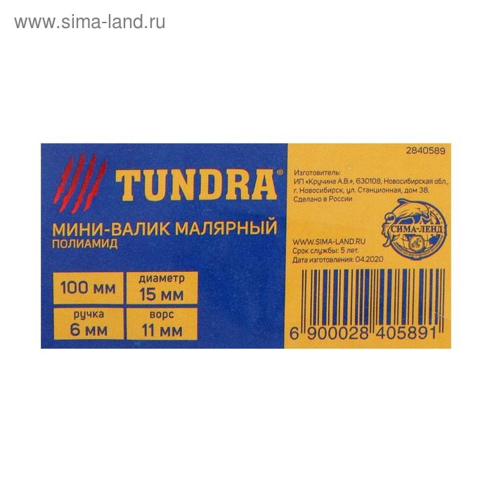 Мини-валик ТУНДРА, полиамид, 100 мм, рукоятка d=6 мм, D=15 мм, ворс 11 мм Мини-валик ТУНДРА, полиамид, 100 мм, рукоятка d=6 мм, D=15 мм, ворс 11 мм