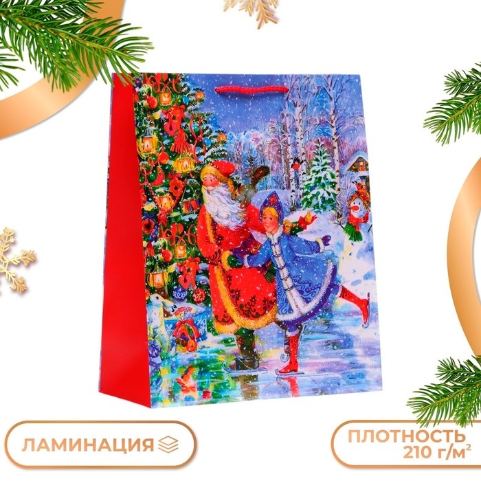Новый год. Пакет подарочный Новый год. Пакет подарочный "Дед мороз со снегурочкой", 26 х 32 х 12 см.