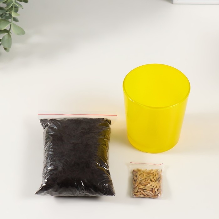 Набор для выращивания растений Набор для выращивания растений "Вырасти травку" желтый