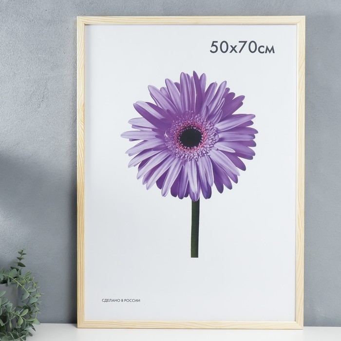 Фоторамка дерево Sasha 50х70 см неокрашенная (пластиковый экран) Фоторамка дерево Sasha 50х70 см неокрашенная (пластиковый экран)