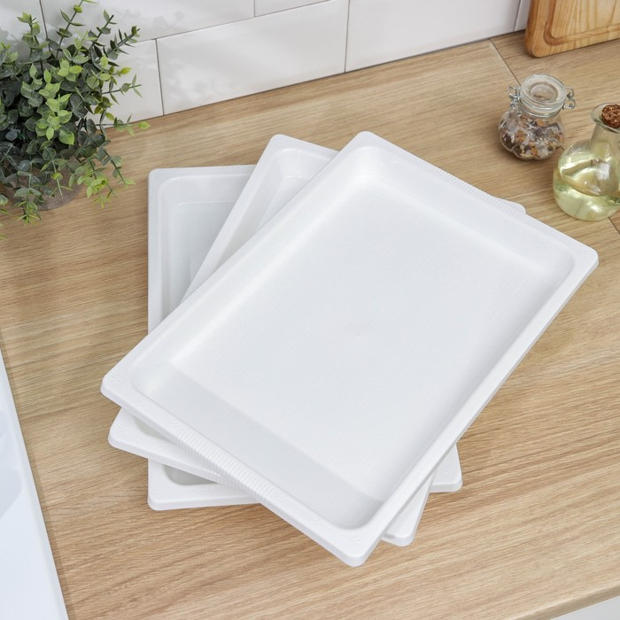 Набор подносов для заморозки пельменей, 36×25×3 см, 3 шт, цвет МИКС