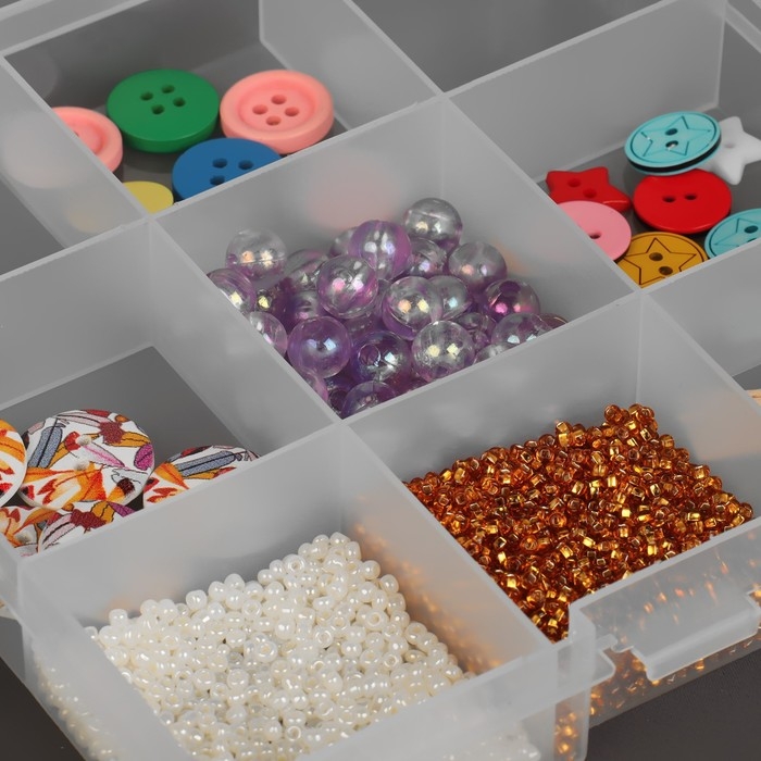 Органайзер для хранения мелочей, 17,7 × 10,2 × 2,3 см, цвет прозрачный Органайзер для хранения мелочей, 17,7 × 10,2 × 2,3 см, цвет прозрачный