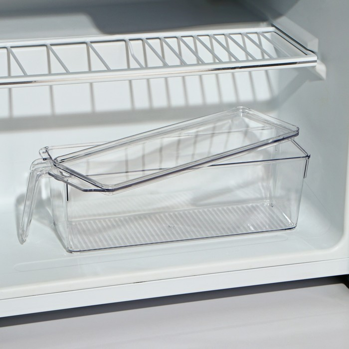 Контейнер для холодильника с крышкой и ручкой RICCO, 32×10×10 см