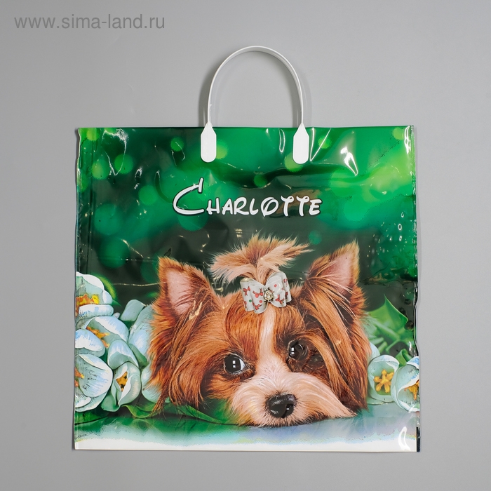 Пакет  Пакет "Шарлотта", полиэтиленовый с пластиковой ручкой, 38 х 35 см, 90 мкм