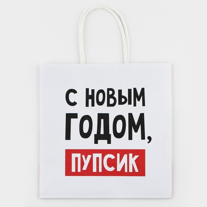 Пакет подарочный новогодний «С Новым годом, пупсик», 22 х 22 х 11 см , Новый год