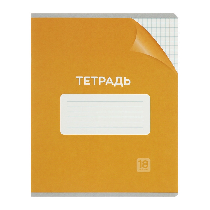 Комплект тетрадей из 10 штук, 18 листов в клетку Calligrata "Однотонная Классика с уголком. Эконом", обложка мелованный картон, ВД-лак, блок №2, белизна 75% (серые листы), 5 видов по 2 штуки