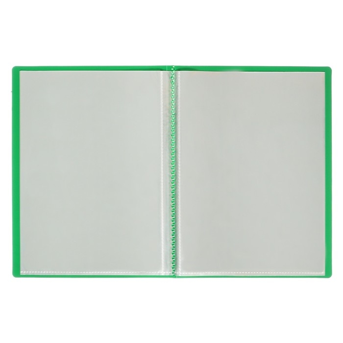 Набор папок А5, 20 вкладышей, Calligrata, зеленые, 3 штуки Набор папок А5, 20 вкладышей, Calligrata, зеленые, 3 штуки