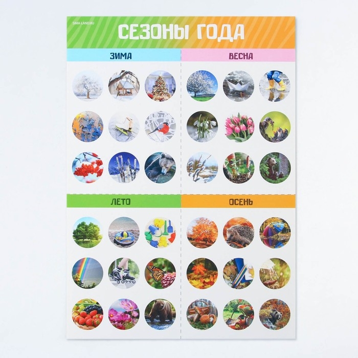 Набор обучающих плакатов «Изучаем мир», 10 в 1, А4