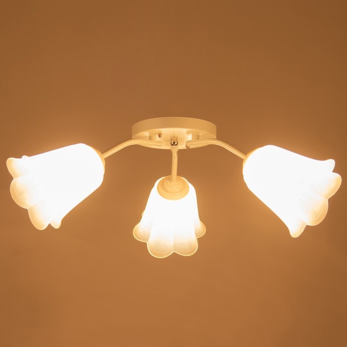 Люстра Люстра "Онлайн" (цветок) 3х15Вт Е27 МОДЕЛЬ: BR 00204 белый/прозрачный