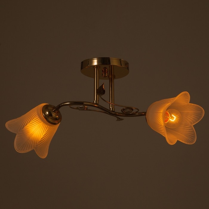 Люстра Люстра "Олана" 2хЕ27 40Вт золото 43х27х18 см BayerLux