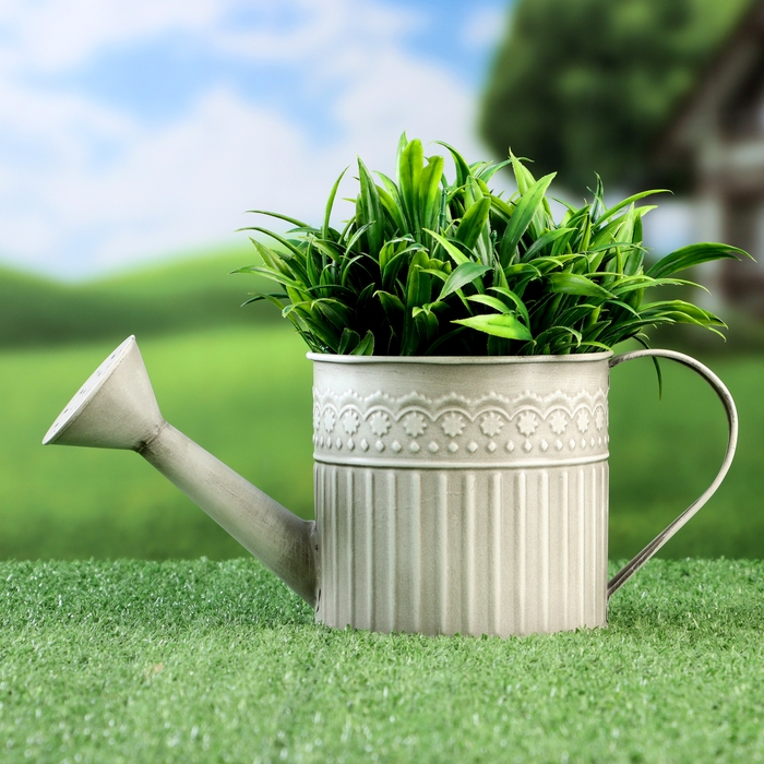 Кашпо  Кашпо "Лейка" 27х12х11см