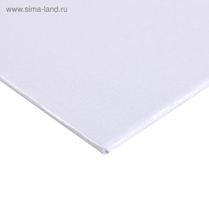 Холст на картоне 25 х 35 см, хлопок 100%, толщина 3 мм, акриловый грунт, мелкозернистый, ЗХК Холст на картоне 25 х 35 см, хлопок 100%, толщина 3 мм, акриловый грунт, мелкозернистый, ЗХК "Сонет", DK13701-25x35