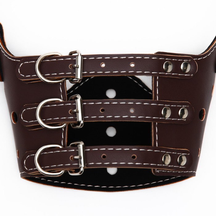 Намордник из прессованной кожи регулируемый, №4, ДН 8,8 см, ОМ 29-35 см, коричневый Намордник из прессованной кожи регулируемый, №4, ДН 8,8 см, ОМ 29-35 см, коричневый