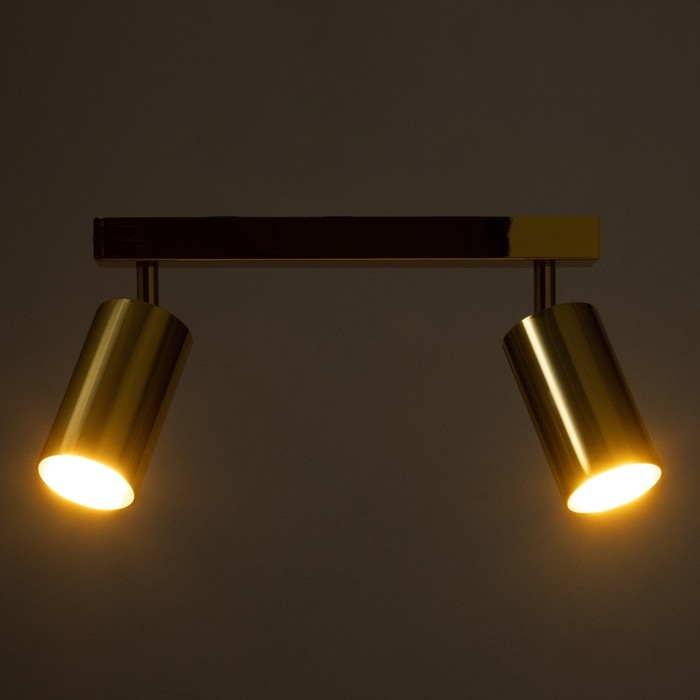 Спот Спот "Этнес" 2хGU10 золото 29,5х6,5х16,5 см