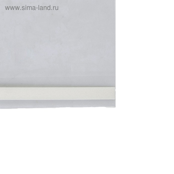 Карман-держатель для информации, клеящаяся основа, формат А4 вертикальный, 21×0,2×30 см