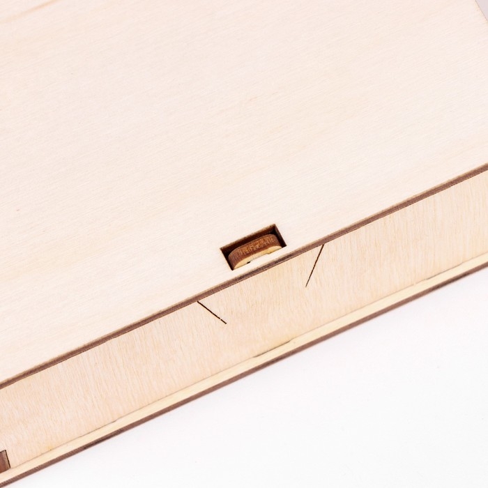 Шкатулка - пенал, маленький 4x11x12 Шкатулка - пенал, маленький 4x11x12