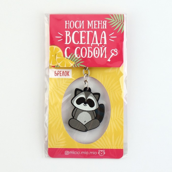 Брелок для ключей акриловый «Енот», 7.2 х 14 см