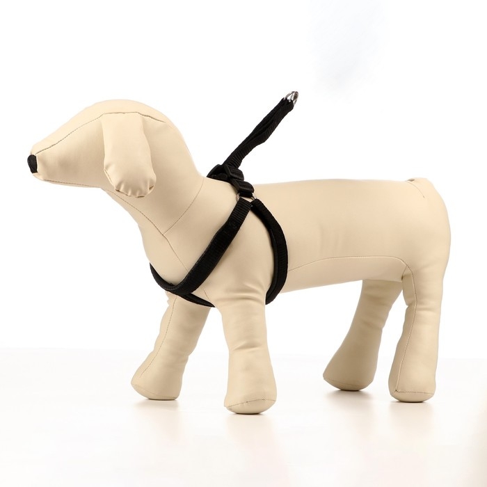 Шлейка Шлейка "Комфорт" комбинированная, 1,5 см, ОШ 36-50 см, ОГ 40-56 см, чёрная