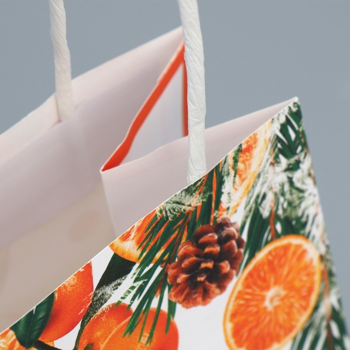 Пакет подарочный новогодний крафтовый «Новогодний цитрус», 12 х 21 х 9 см, Новый год Пакет подарочный новогодний крафтовый «Новогодний цитрус», 12 х 21 х 9 см, Новый год