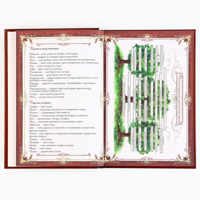 Подарочный набор родословная книга в шкатулке «Новый год: Дед мороз» Подарочный набор родословная книга в шкатулке «Новый год: Дед мороз»