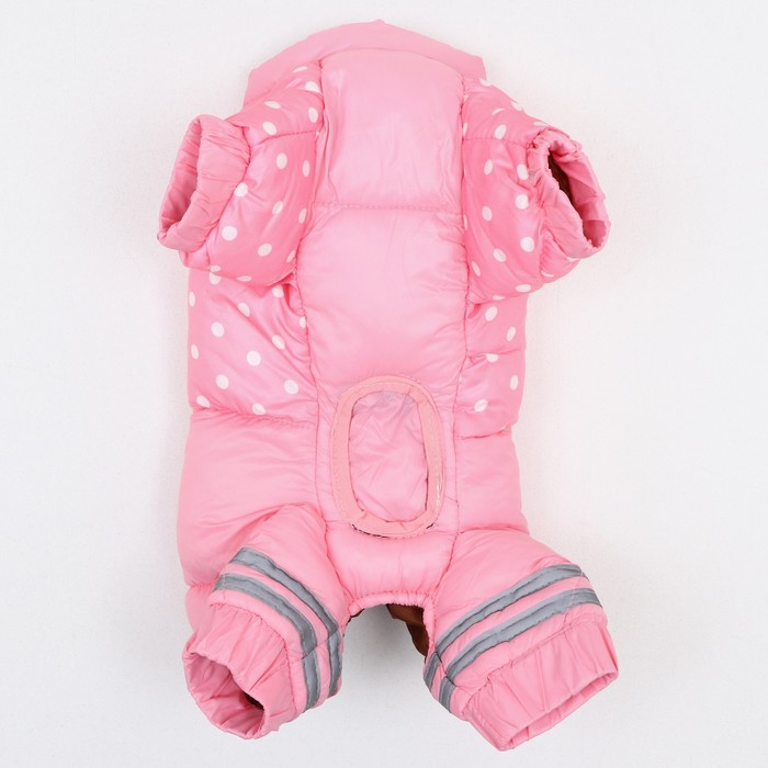 Комбинезон для собак Комбинезон для собак "Горошек", размер 18 (ДС 31, ОГ 46, ОШ 38 см), розовый