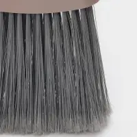 Щётка с совком для уборки &laquo;Ленивка&raquo;, 19.5&times;25&times;90 см, капучино