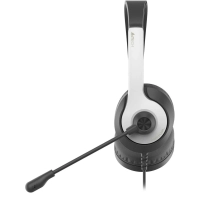 Гарнитура A4Tech Fstyler (FH100U (PANDA)) белый/черный 2м накладные USB