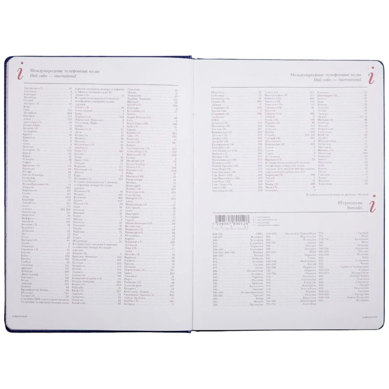 Ежедневник недатированный А4, Sidney Nebraska синий, 3-539/04