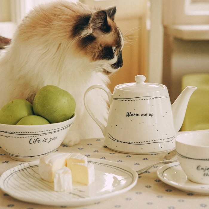 Чайник заварочный фарфоровый SL Home «Милый дом», 900 мл, 21×13,8×13,5 см, цвет белый Чайник заварочный фарфоровый SL Home «Милый дом», 900 мл, 21×13,8×13,5 см, цвет белый