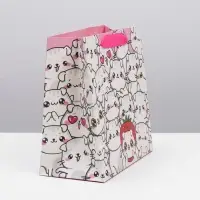 Пакет подарочный ламинированный квадратный, упаковка, &laquo;Котики&raquo;, 22&times;22&times;11 см