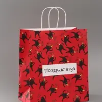 Пакет подарочный крафтовый, упаковка, &laquo;Поздравляю&raquo;, 28&times;32&times;15 см