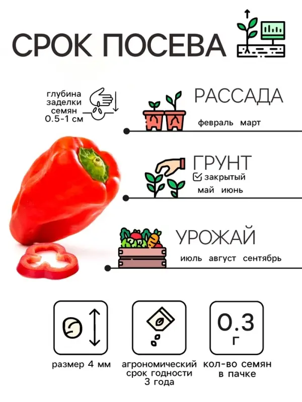Семена Перец сладкий  Семена Перец сладкий "Богатырь", 0,3 г