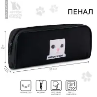 Пенал школьный, текстиль, 8&times;20&times;4 см &laquo;Не понял&raquo;