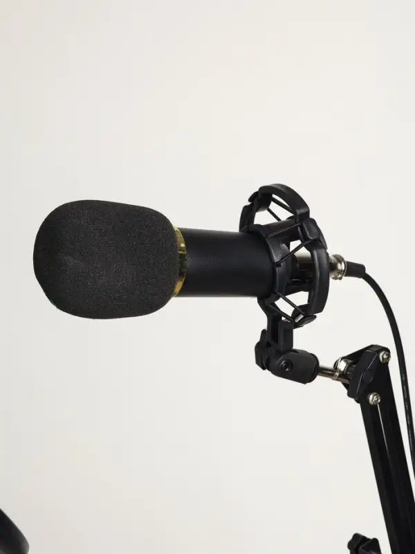 Микрофон конденсаторный Music Life золотой: кабель, ветрозащита, стойка