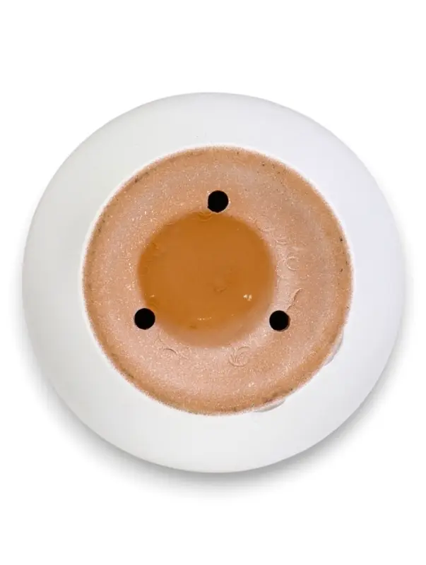 Горшок цветочный с поддоном 5 л, d122/h19,5 см капучино керамика, Горшок цветочный с поддоном 5 л, d122/h19,5 см капучино керамика, "Туман" (М)