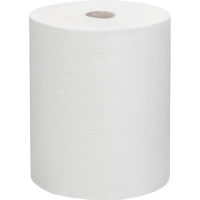 Полотенца бумажные д/дисп. FOCUS Extra Quick 2сл 150м 6рул/уп цел 5050023