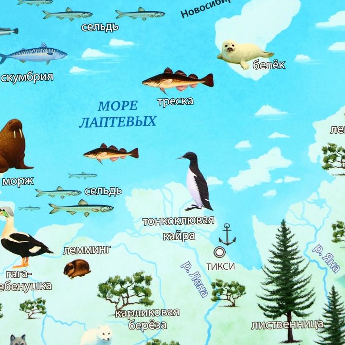 Карта России для детей  Карта России для детей "Карта Нашей Родины", 101 х 69 см, ламинированная