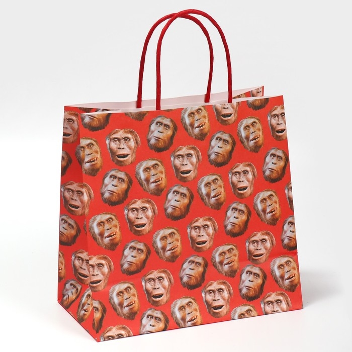 Пакет подарочный, упаковка, «Обезьяна», 22 х 22 х 11 см Пакет подарочный, упаковка, «Обезьяна», 22 х 22 х 11 см