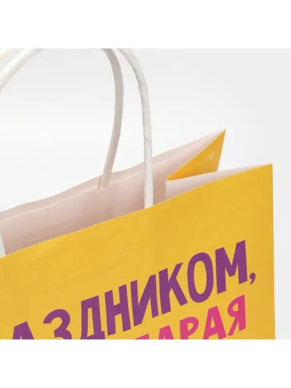 Пакет подарочный &laquo;Старая клюшка&raquo;, 22&times;22&times;11 см