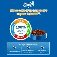 Влажный корм Chappi для собак, с говядиной по-домашнему, пауч, 85 г