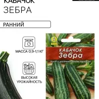 Семена Кабачок цукини &laquo;Зебра&raquo;, 10 шт., &laquo;Аэлита&raquo;