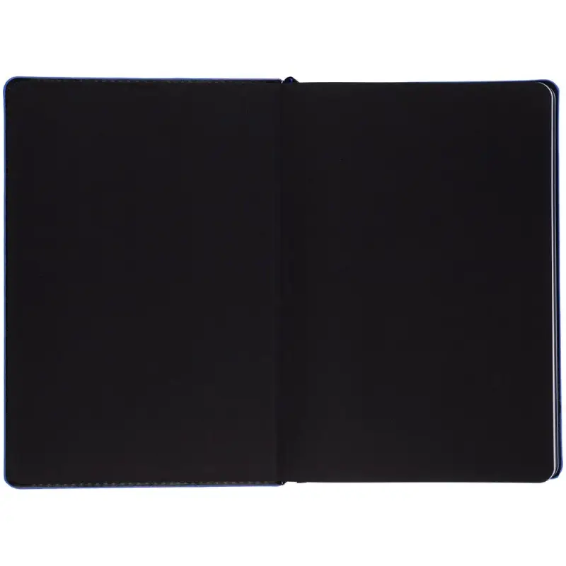 Ежедневник Alanis, недатированный, черный c синим