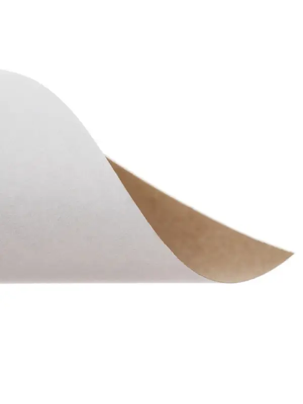 Картон белый А4, 8 листов &laquo;Луч&raquo;, плотность 220 г/м&sup2;