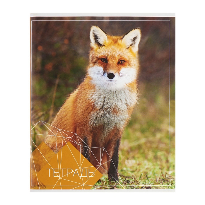 Комплект тетрадей из 4 штук, 96 листов в клетку Calligrata Комплект тетрадей из 4 штук, 96 листов в клетку Calligrata "Животные", обложка мелованный картон, блок №2, белизна 75% (серые листы)