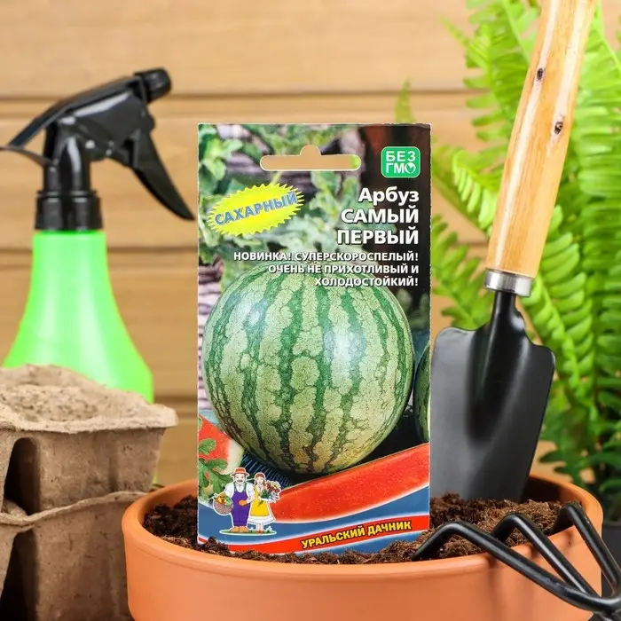 Семена Арбуз  Семена Арбуз "Самый Первый", ультраскороспелый, 3-4 кг, 10 шт.