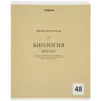 Комплект 12 предметных тетрадей 48 листов, справочная информация, 60гр, Пастель классика