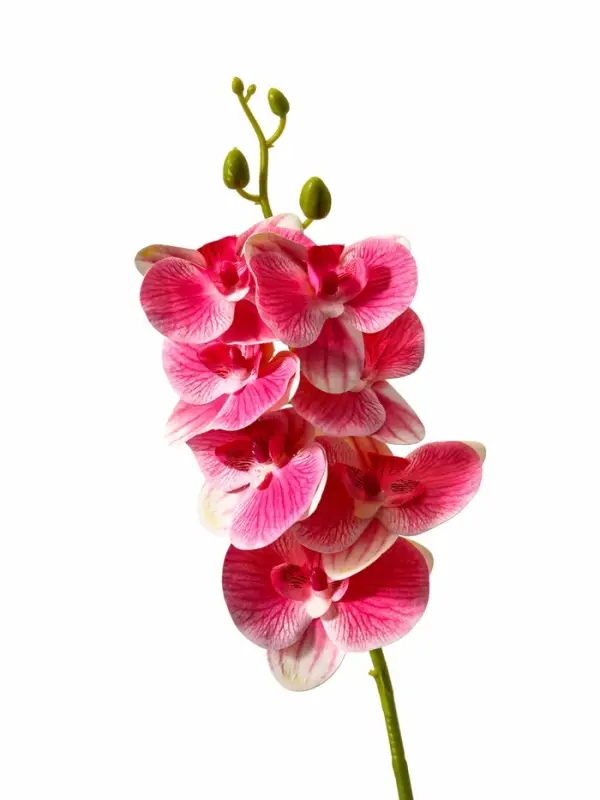 Цветы искусственные &laquo;Орхидея экстра галант&raquo;, h=60 см, d=8 см, розовые
