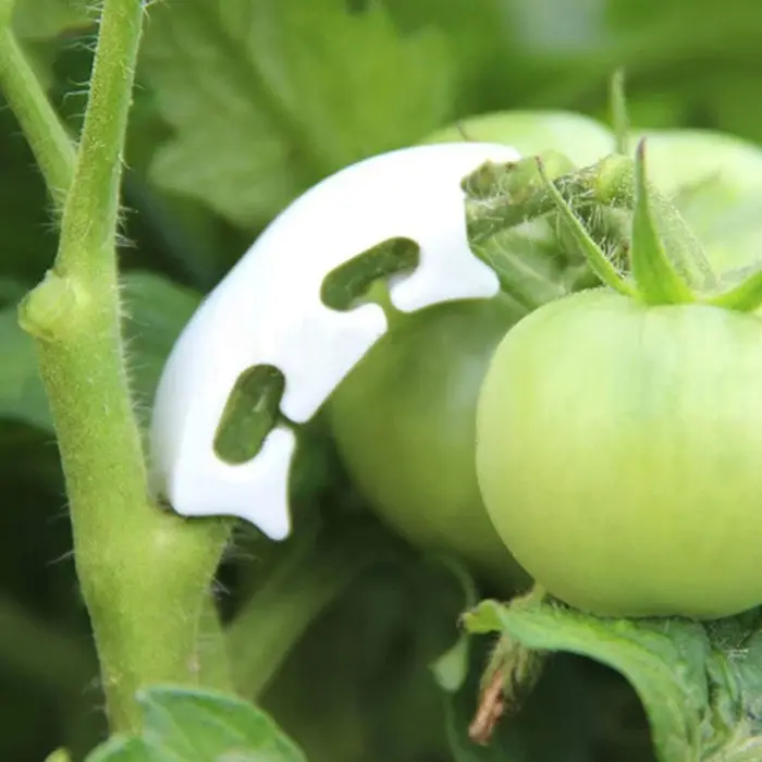 Кистедержатель «Улитка», 3.5 см, набор 50 шт., Greengo